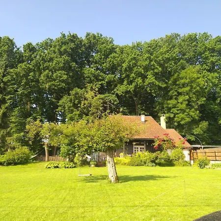 Vila Zelenac Villa *