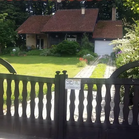 Vila Zelenac