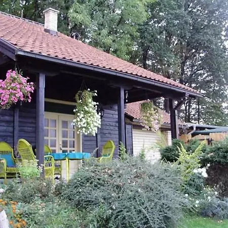 Vila Zelenac Villa *