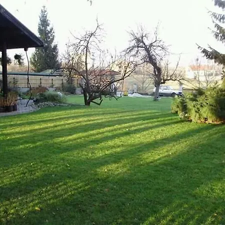 Vila Zelenac