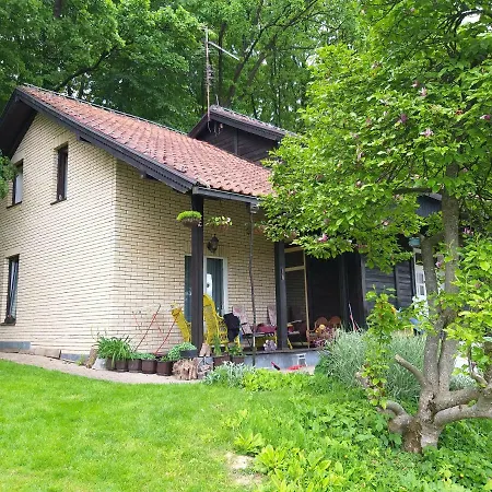Vila Zelenac Villa *