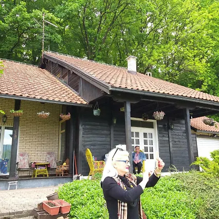 Vila Zelenac Villa *