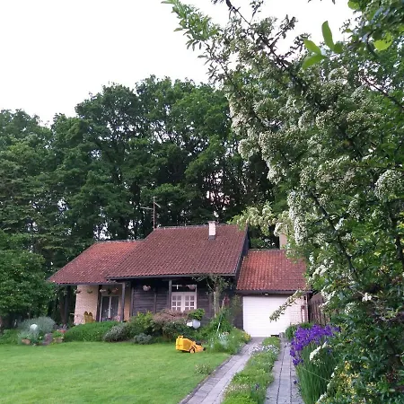 Vila Zelenac Villa