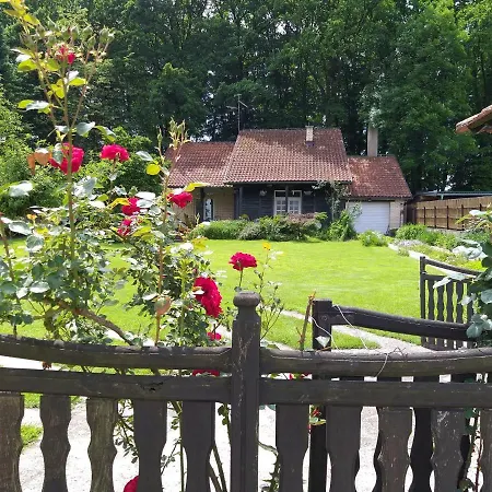 Villa Vila Zelenac